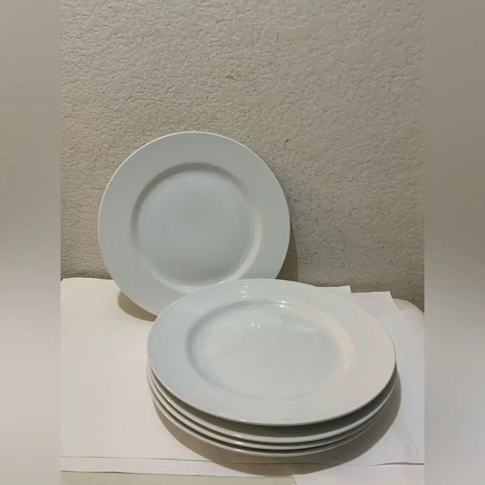 Pier 1 imports luminous White porcelain dinner Plate 11” (Set of 5) G6